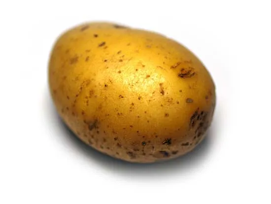 Potato